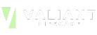 Valiant Lifecare