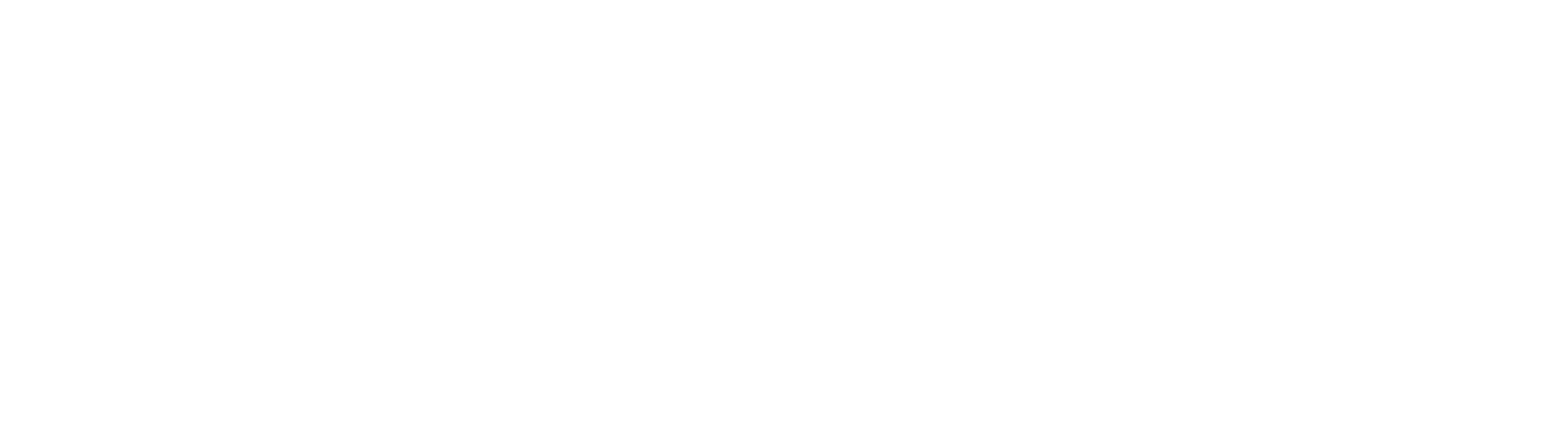 Valiant Lifecare